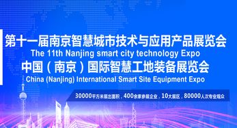 2020第十一屆南京智慧城市技術(shù)與應(yīng)用產(chǎn)品展覽會(huì) 信息技術(shù)咨詢服務(wù)賦能智慧未來(lái)