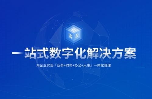 2026年國(guó)內(nèi)外主流ERP系統(tǒng)軟件與企業(yè)選型完整參考