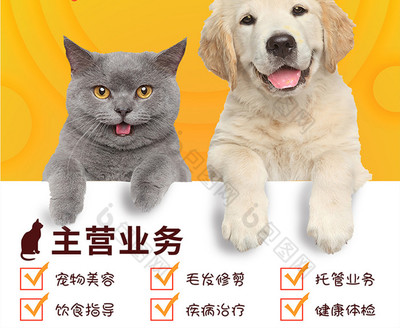 黃色可愛寵物店鋪海報