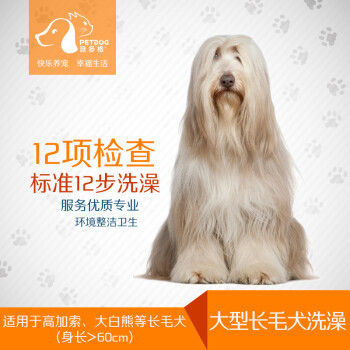 寵物產業鏈的興起 從食品到服務的全面覆蓋