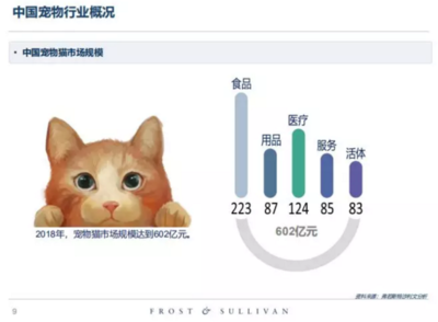 高收入、高學歷的單身人群，養寵前請先算清這筆賬